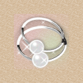 ring02.gif