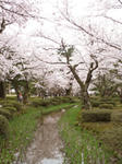 kenrokuen.jpg