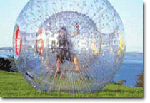 photo3.gif