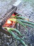090301.jpg