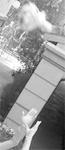 5d05b427.jpg