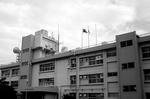 DSC00101.JPG