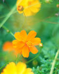 CRW_3832.JPG