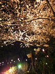 2010.03.06-1.jpg
