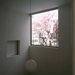 beat-sakura21.JPG