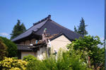 DSC_0071blog1.JPG
