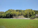 2010.06.15.jpg
