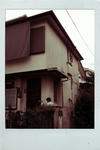 2010.11.26.jpg