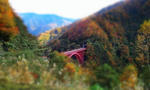 2010.11.30.jpg