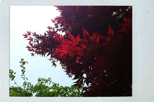 FxCam_1336615330093.jpg