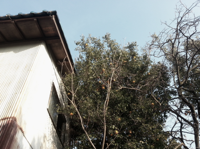 20130124_153321-blog.JPG