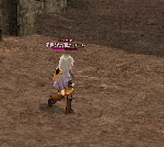dasarino.gif