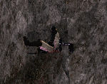 dk.gif