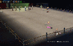 z.gif