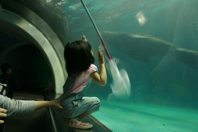 09908a91.jpg