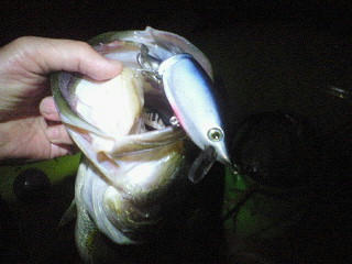 200905052006000.jpg