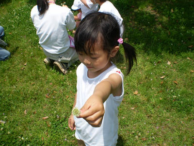f881b2ba.jpg