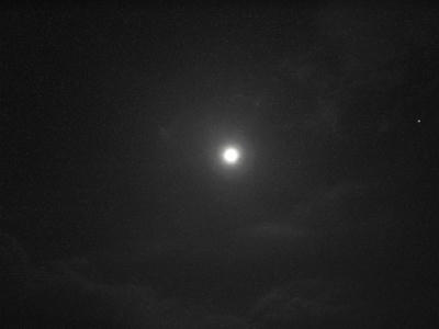 c22214a1.jpg