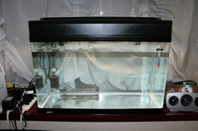 1acfa966.jpg