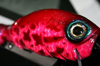 4ec29247.jpg