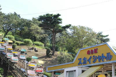 d35804fe.jpg