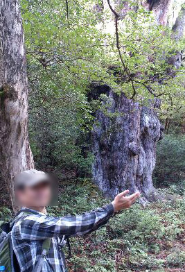 お決まりのポーズらしい
