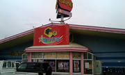20090213133626.jpg