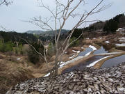 97a37039.jpg