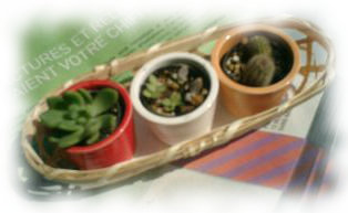 trimed_20111009