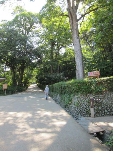 kame-saka.jpg