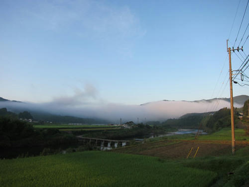 siman0.jpg