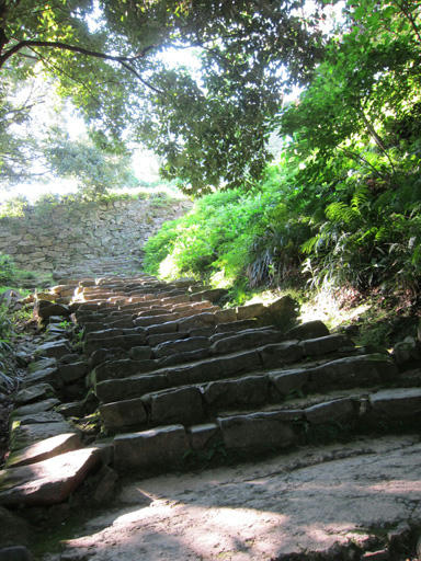 uwajima4.jpg