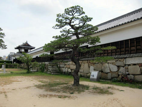 ninomaru1.jpg