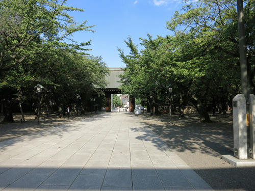 IMG_5907.jpg