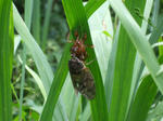 DSCF0891.jpg