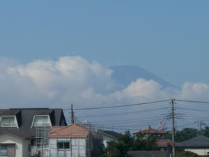 fuji.JPG