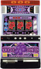 E.M.A バイオレットビスカス