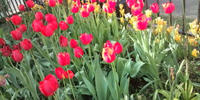 GRP_0006.JPG