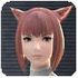 kohaku.jpg
