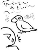 3a4140af.jpeg