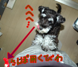 0706_5.jpg