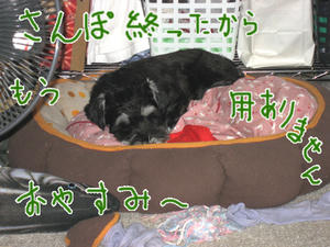 0706_6.jpg