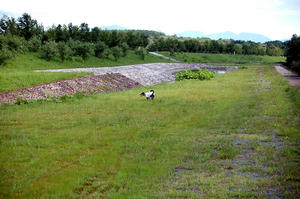 DSC_0122.jpg