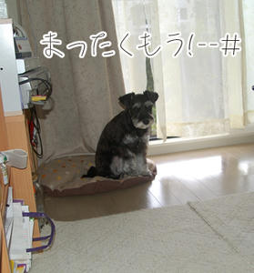 0731__03.jpg