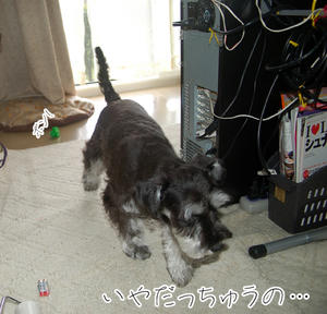 0731__04.jpg