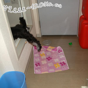 0731__06.jpg