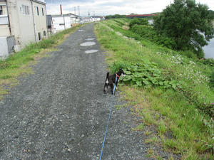 0731__08.jpg