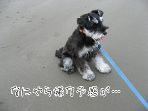 IMG_0211.jpg
