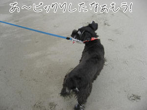 IMG_0214.jpg