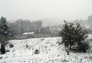 4c9332ac.jpg